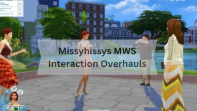 Missyhissys MWS Interaction Overhauls - The Ultimate Guide 2024!