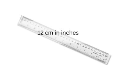 12 cm in inches