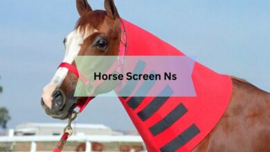 Horse Screen Ns