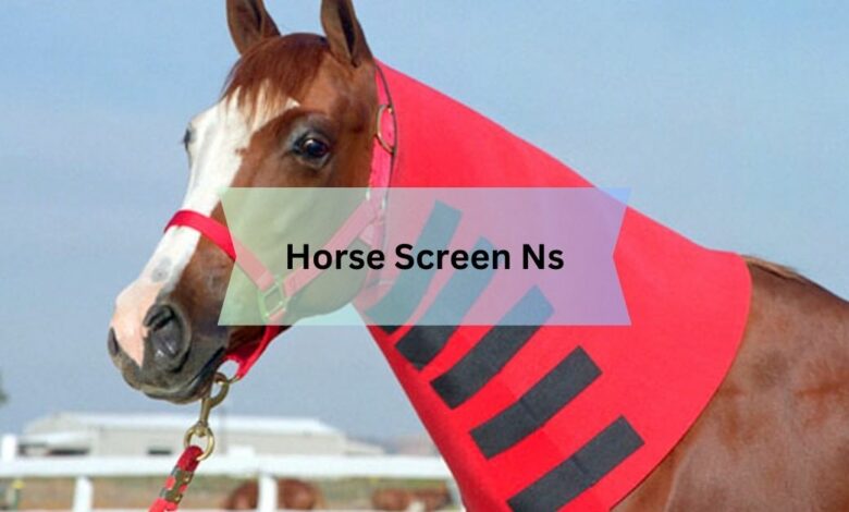 Horse Screen Ns