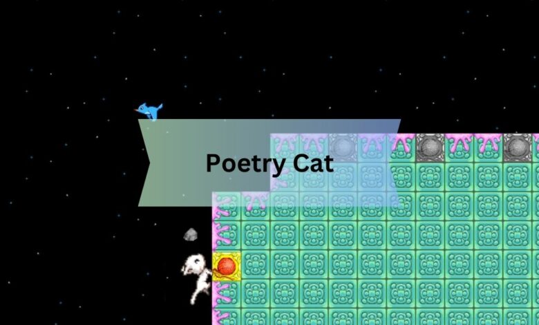 Poetry Cat